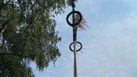 Maibaum brach beim Aufstellen: Feuerwehrmann schwer verletzt