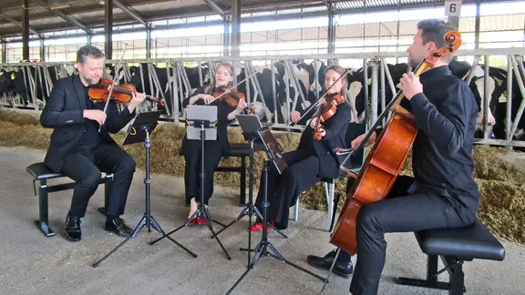 Zwei Musiker und zwei Musikerinnen (mitte) spielen ihre Instrumente in einem Kuhstall - das Quartett Armida | NDR / Axel Seitz Zwei Musiker und zwei Musikerinnen (mitte) spielen ihre Instrumente in einem Kuhstall - das Quartett Armida