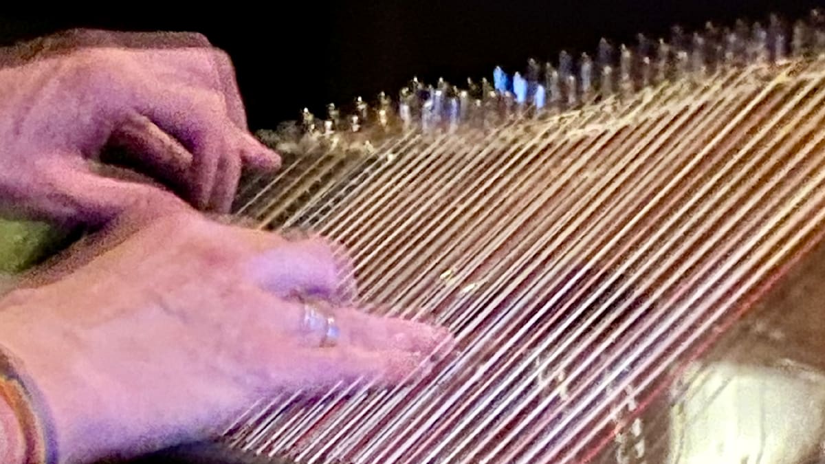 Zither: Vom Schul-Spott zum Weltstar – Stephan Ander verblüfft selbst Profis