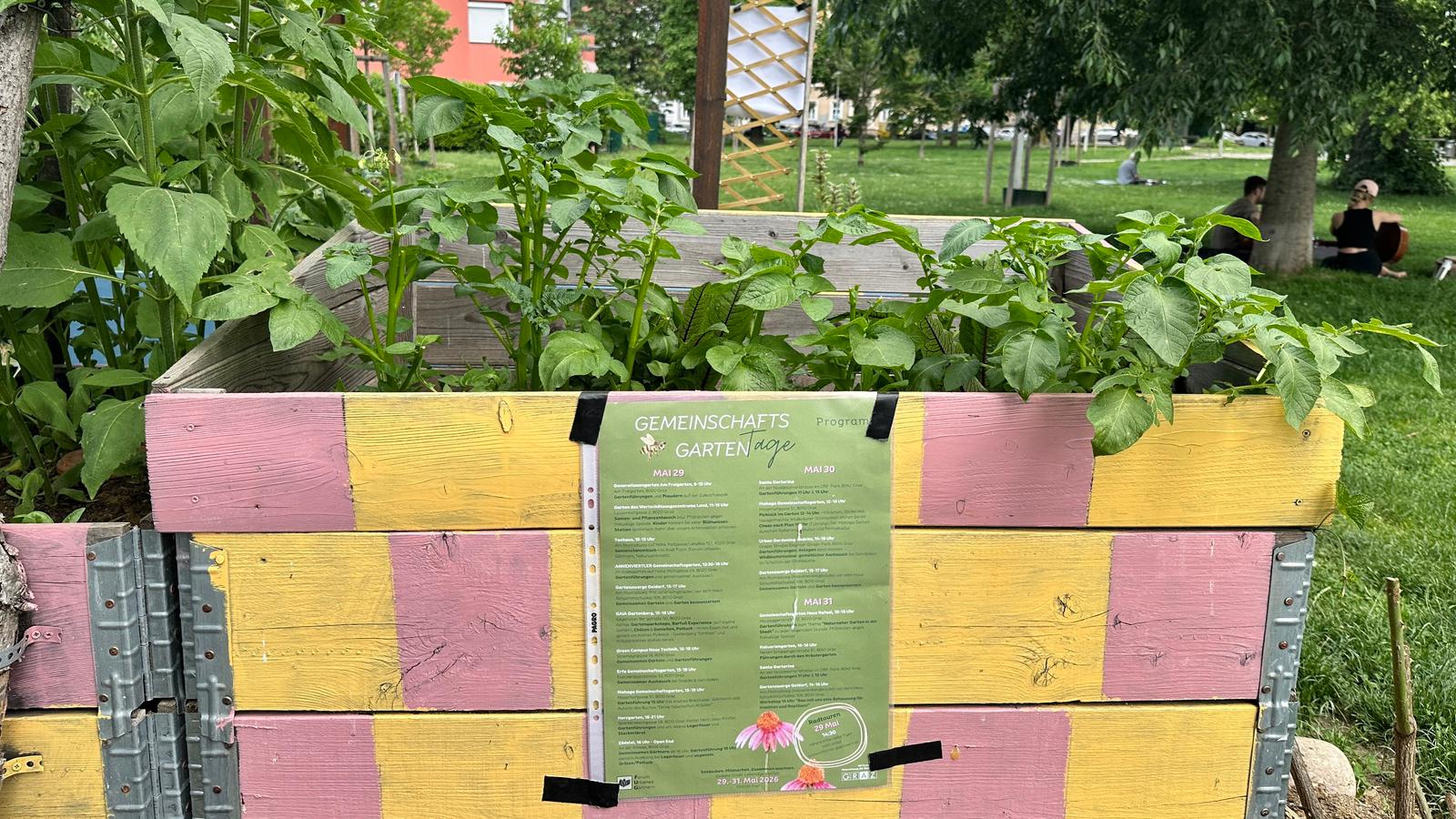 Farbig bemaltes Beet mit grünen Pflanzen im Gemeinschaftsgarten: in der Mitte hängt ein grünes Programmplakat.