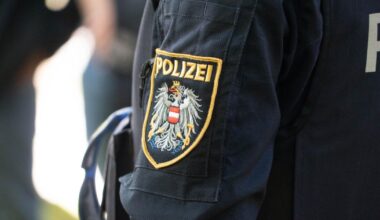 Mutmaßlicher Drogenfahrer mit gestohlenen Kennzeichen in Linz gestoppt