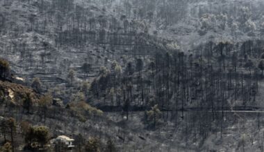 Weitere Waldbrände in Spanien und Frankreich ausgebrochen