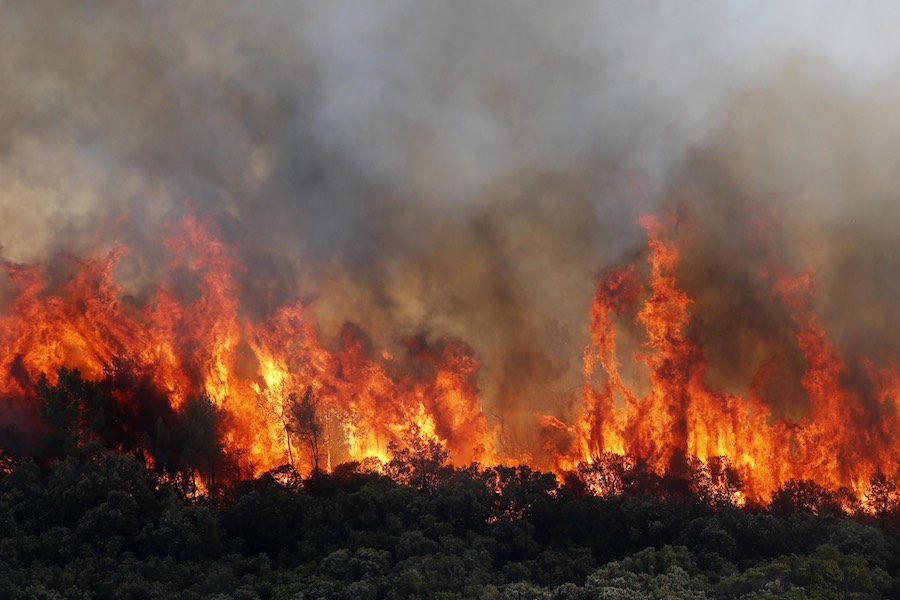 Waldbrände in Europa - Swiss Re warnt vor hohen Schäden