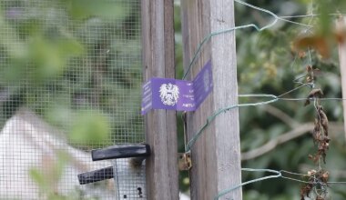 Vater nach Tötung seiner Tochter in Graz in Haft