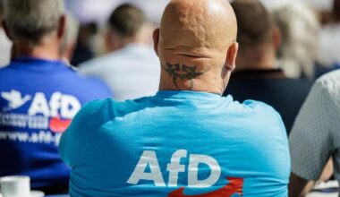 AfD-Verbotsverfahren: Mehr als tausend Juristen unterstützen AfD-Verbot