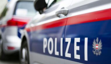 Ohne gültiges Ticket unterwegs: 20-jähriger Fahrgast randalierte in Zug in Innsbruck