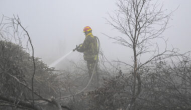 Waldbrand in Ostbelgien laut Behörden "eingekreist"
