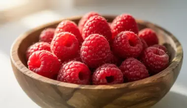 Himbeeren: 33 Kalorien und hochwertige Mineralstoffe pro Portion