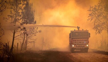 Erderhitzung und Flächenbrände - Klimawandel könnte Waldbrandfläche in Europa verdreifachen - Wissen