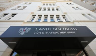 Prozess um zwei schwer gefolterte junge Männer in Wien