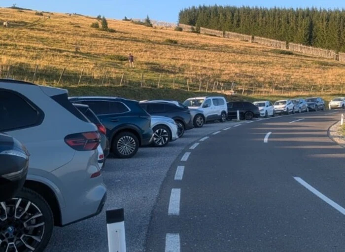 Foto zeigt viele Autos am Straßenrand