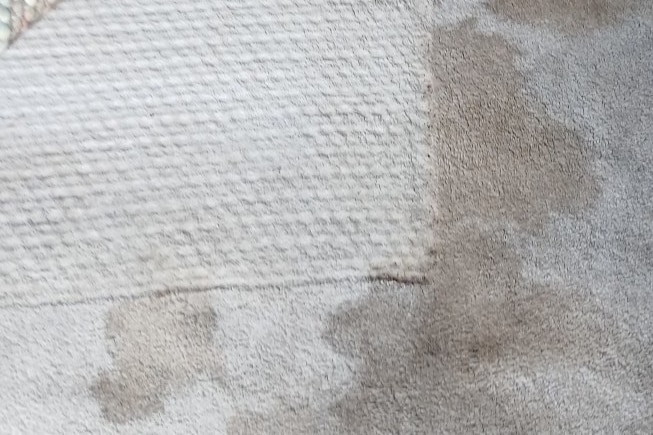 Water damage to carpet
