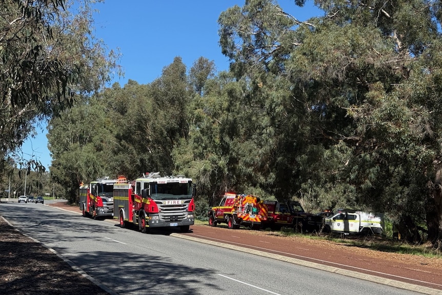 Fire vehicles parked by the side of the road near bushland.