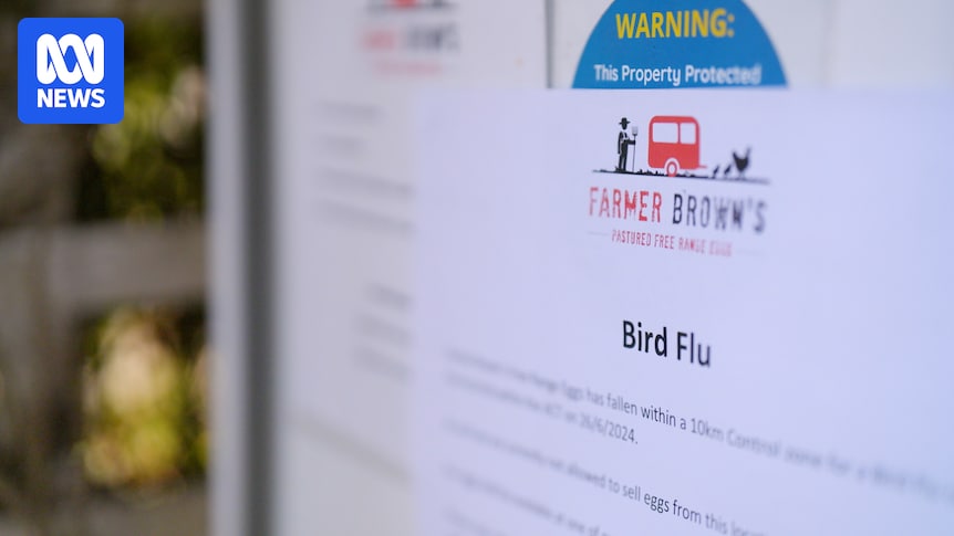 Third Australian H5 bird flu case confirmed in SA, another suspected WA case