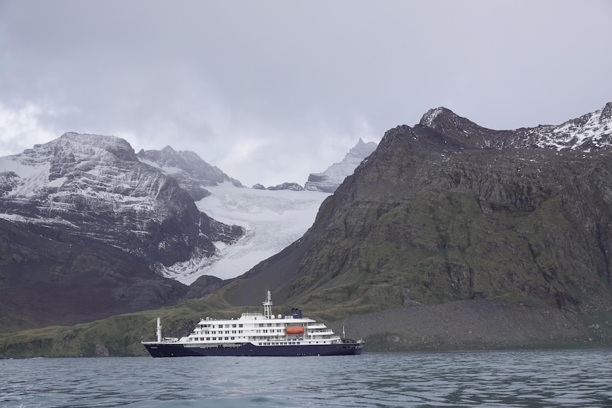 A cruise ship on the water with mountains and snow in the background.