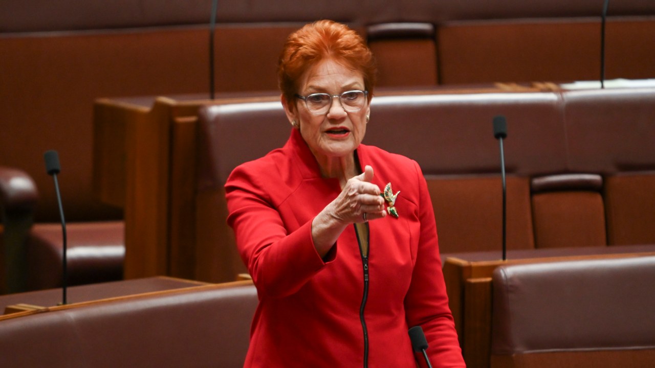 Energy hypocrisy': One Nation leader Pauline Hanson demands end to Australia's nuclear ban after India deal