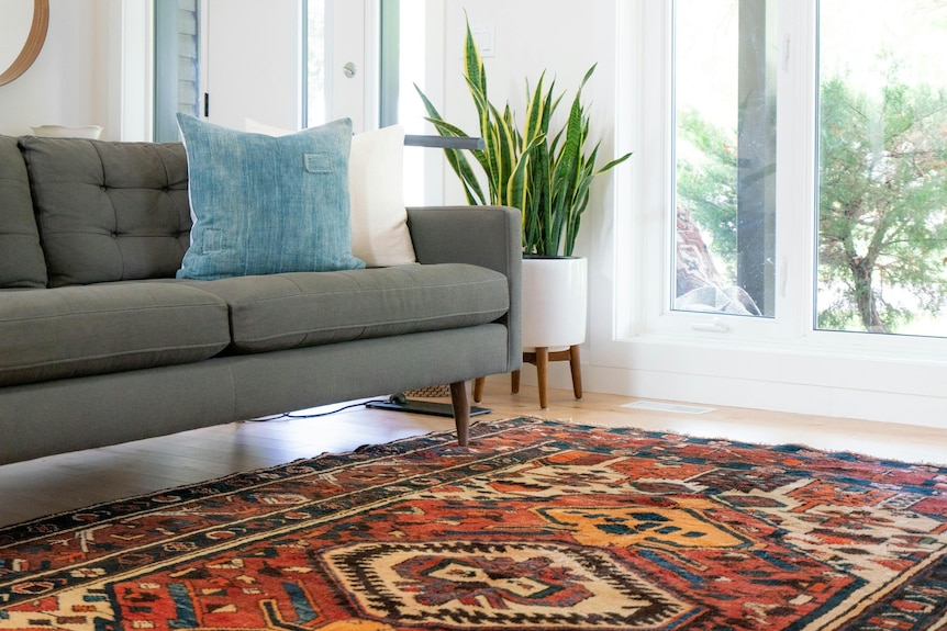 A loungeroom with a grey sofa, a indoor plant and thick rug cream, orange and rust tones.