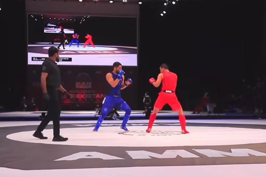 two mixed martial artists during a fight, one in red and one in blue outfits