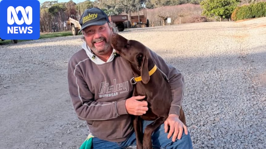 Farmer offers $20,000 reward after family dog shot in suspected drive-by attack