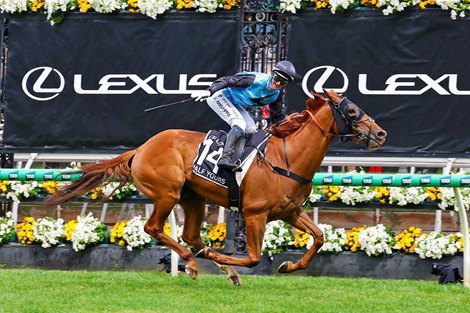 McKenna Named Victorian Small Breeder of the Year