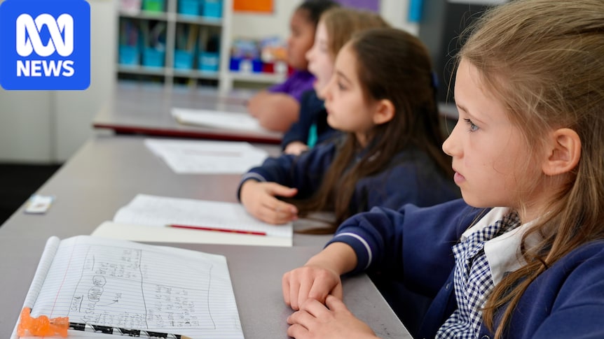 NAPLAN results a 'national tragedy' as one-third of students not meeting literacy and numeracy expectations