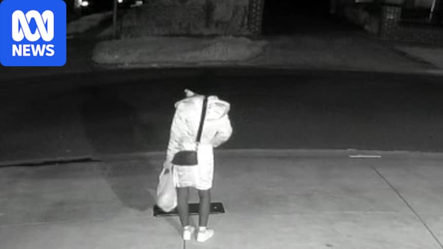 Footage shows Heidelberg hit-and-run suspect who stole man's car