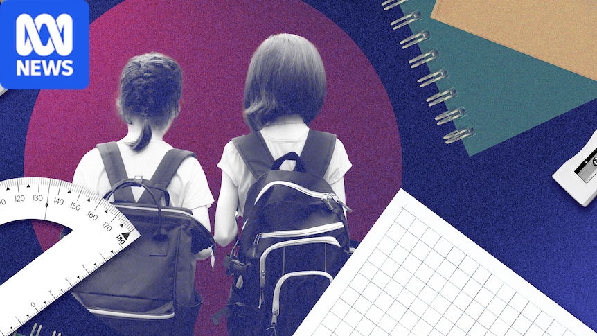 NAPLAN results have been released. What do they mean and how should parents navigate the results?