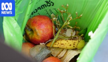 Waste Authority WA quietly changes rules on what can go in FOGO bins