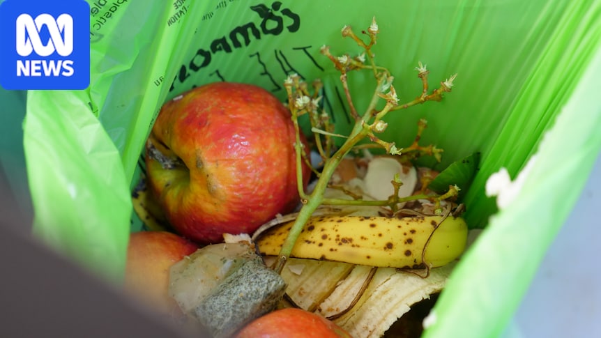 Waste Authority WA quietly changes rules on what can go in FOGO bins