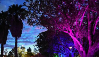 Two Mt Hawthorn parks get stunning new lighting upgrades to encourage residents & visitors to stay later