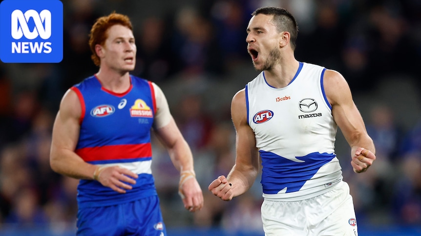 Kangaroos deal major blow to Bulldogs' wildcard bid as AFL world reacts to Cats non-sanction over concussion saga