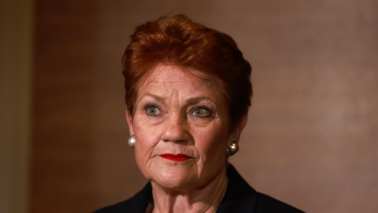 Pauline Hanson: ‘I don’t care’ if migration cuts hurt business