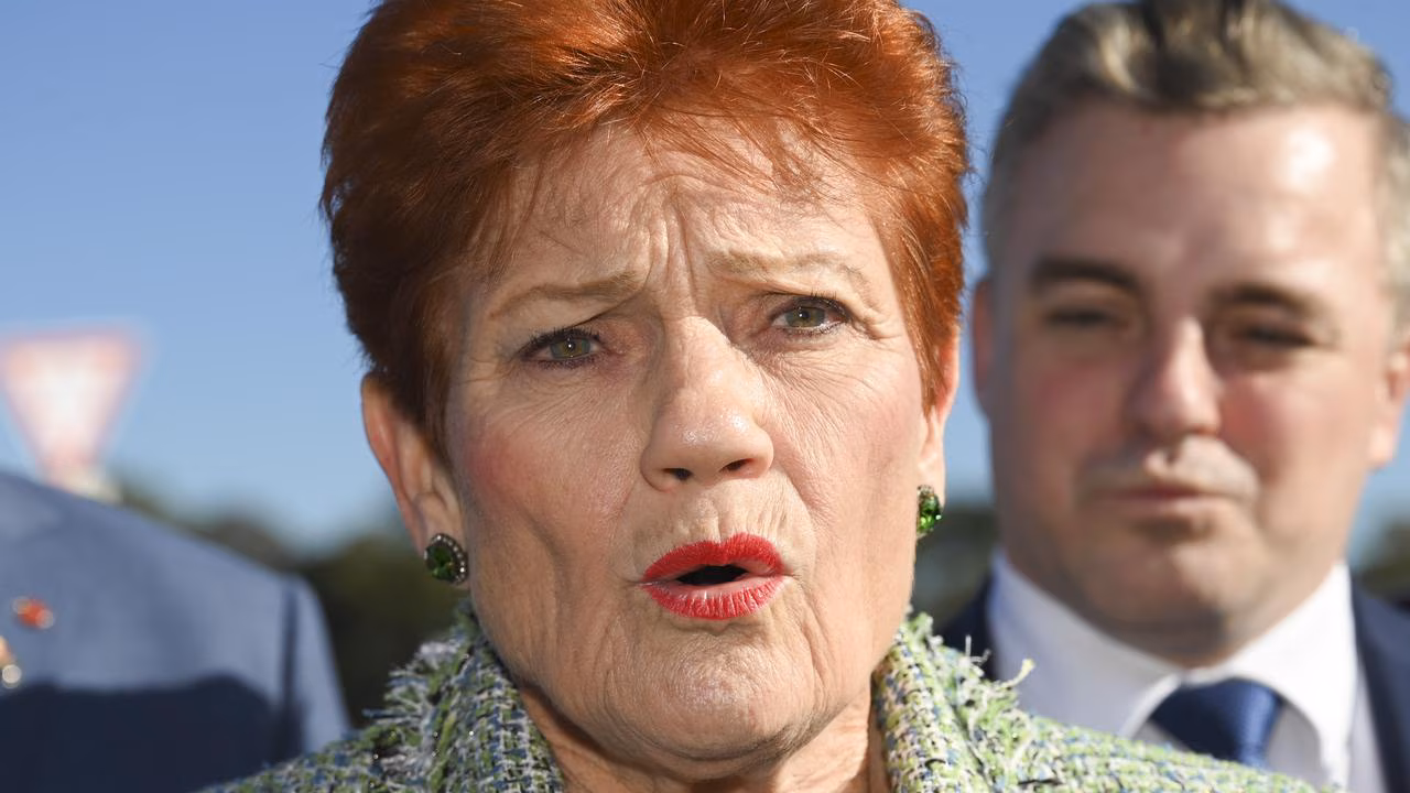 Pauline Hanson: ‘I don’t care’ if migration cuts hurt business