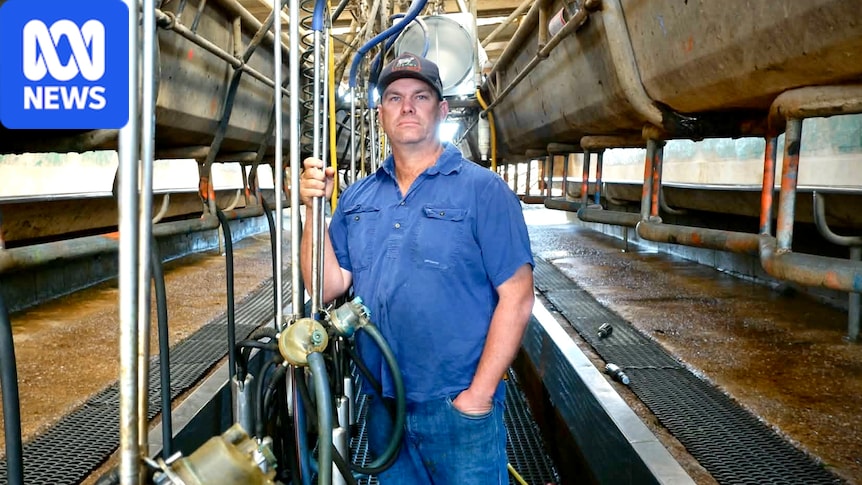 Queensland dairy farmer fears closure after processor ends milk supply contract