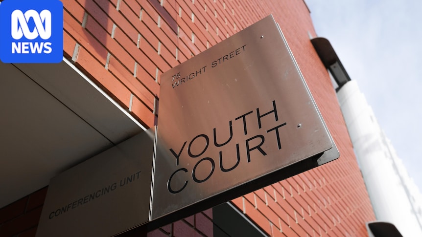 Youth who assaulted woman sleeping rough at Mitcham library pleads guilty to serious criminal trespass