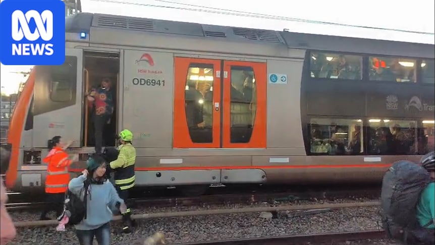 Sydney trains to run on schedule after wiring issue causes chaos on network