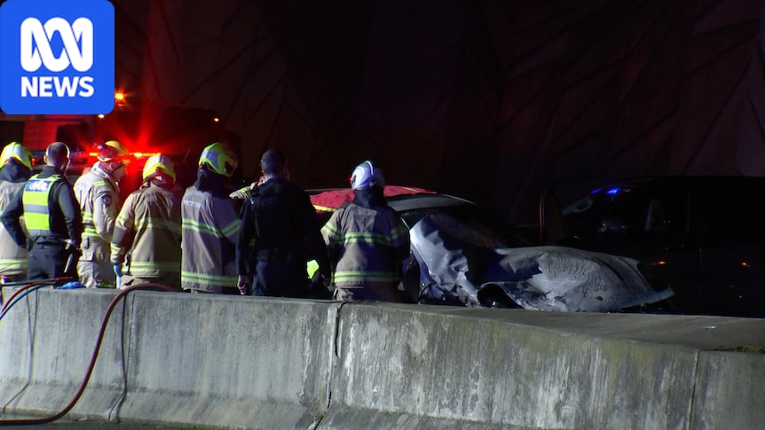 Driver hospitalised after crashing allegedly stolen car in Melbourne's east