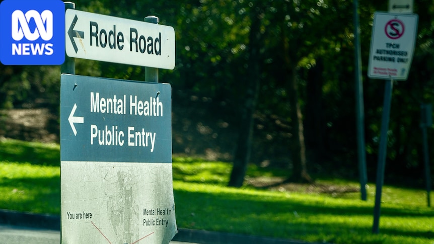 Coronial inquest into cluster of patient suicides hears Prince Charles Hospital mental health facility 'over capacity'