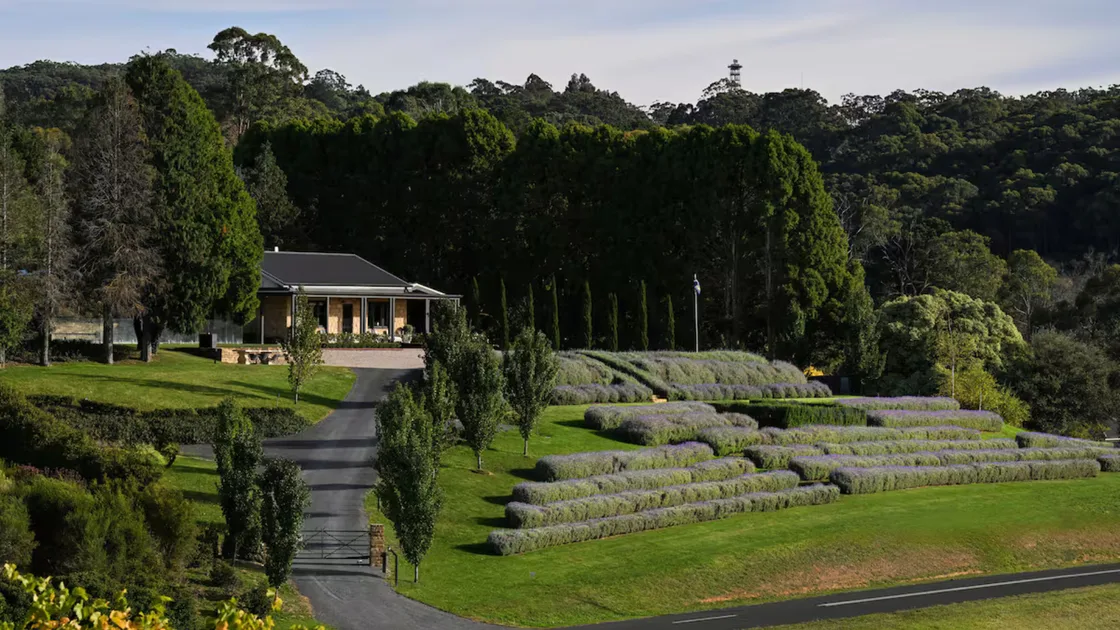 14 Farm Stays in South Australia Only A Short Drive From Adelaide