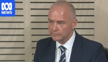 Catholic Schools NSW CEO Dallas McInerney sacked after fronting anti-corruption commission
