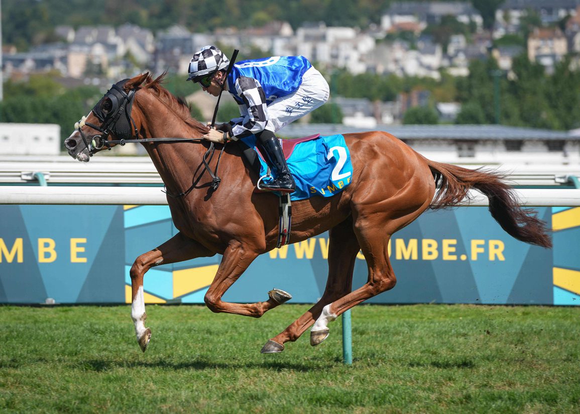 Watch 📺 Defiantly books Melbourne Cup place with Kergorlay success