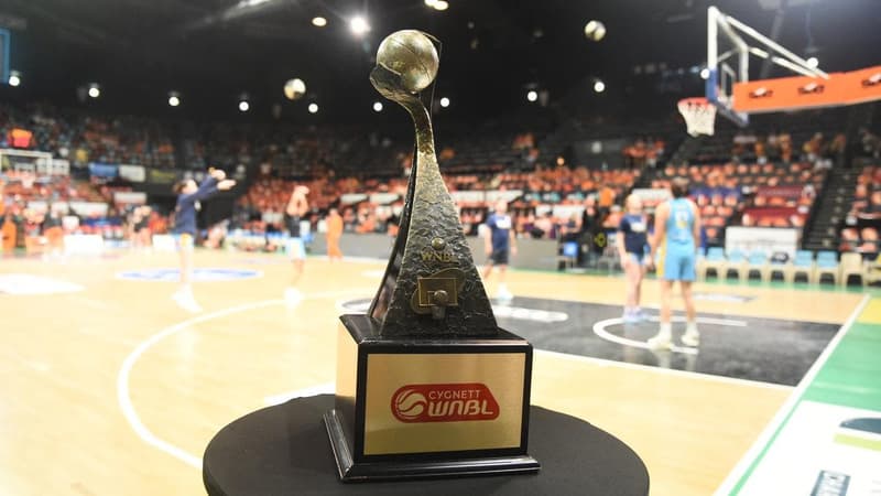 WNBL could have Brisbane team as soon as next season