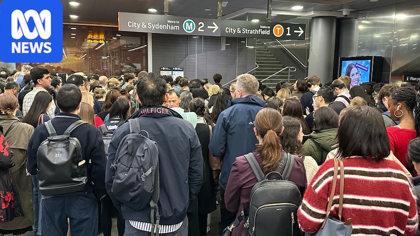 Wiring issue causes second Sydney train delay in nearly a fortnight