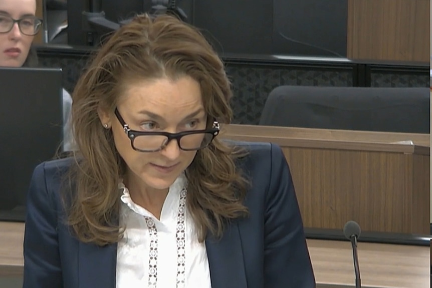 Peggy Dwyer sc at the icac inquiry
