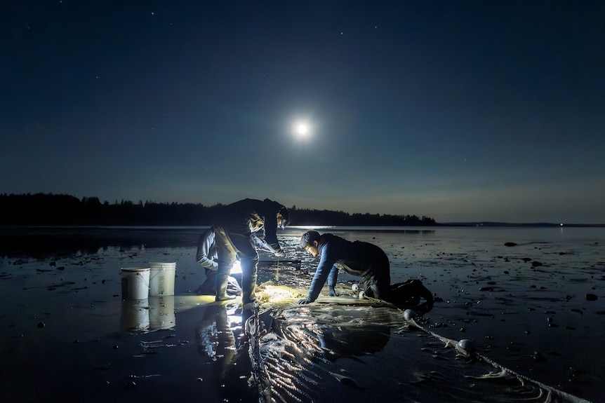 Three people crouch over a net on a damp beach surface underneath a bright moon and stars.