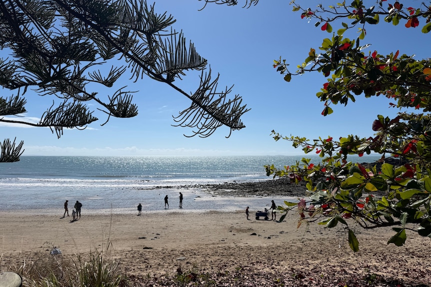 A shoreline behind some coastal trees, people walking on the beach.