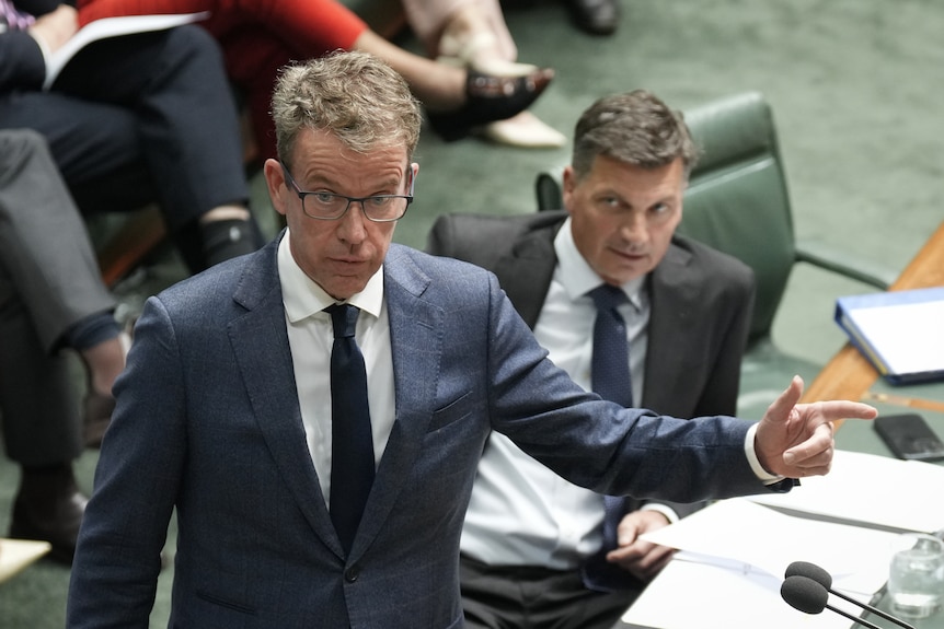 A man speaks in parliament