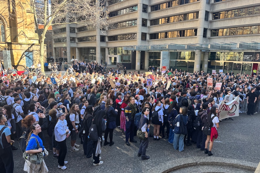 Students at rally with signs