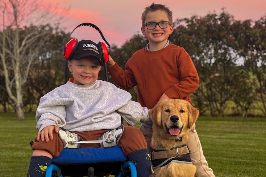 Tommy smiling on a tractor, with his young brother in a burnt orange jumper smiling next to him, and a golden labrador with them