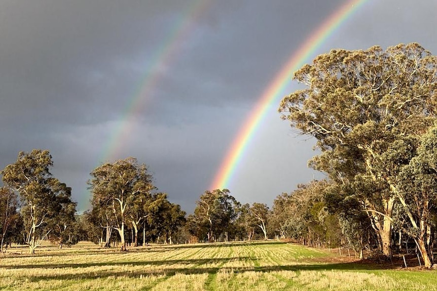 Sunny foreground with double rainbow in front of overcast sky.